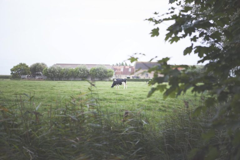 hof-ten-hullenhove-vakantieboerderij19